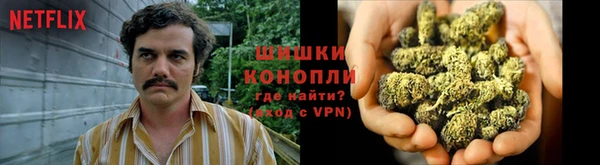 молекула духа Баксан