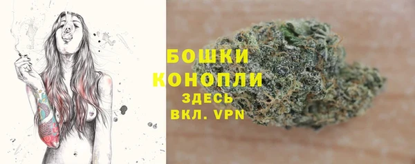 PSILOCYBIN Белокуриха