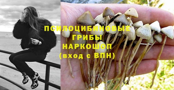 PSILOCYBIN Белокуриха