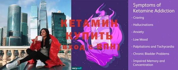 спиды Богородицк