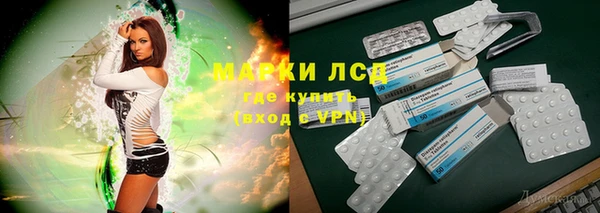 spice Беломорск